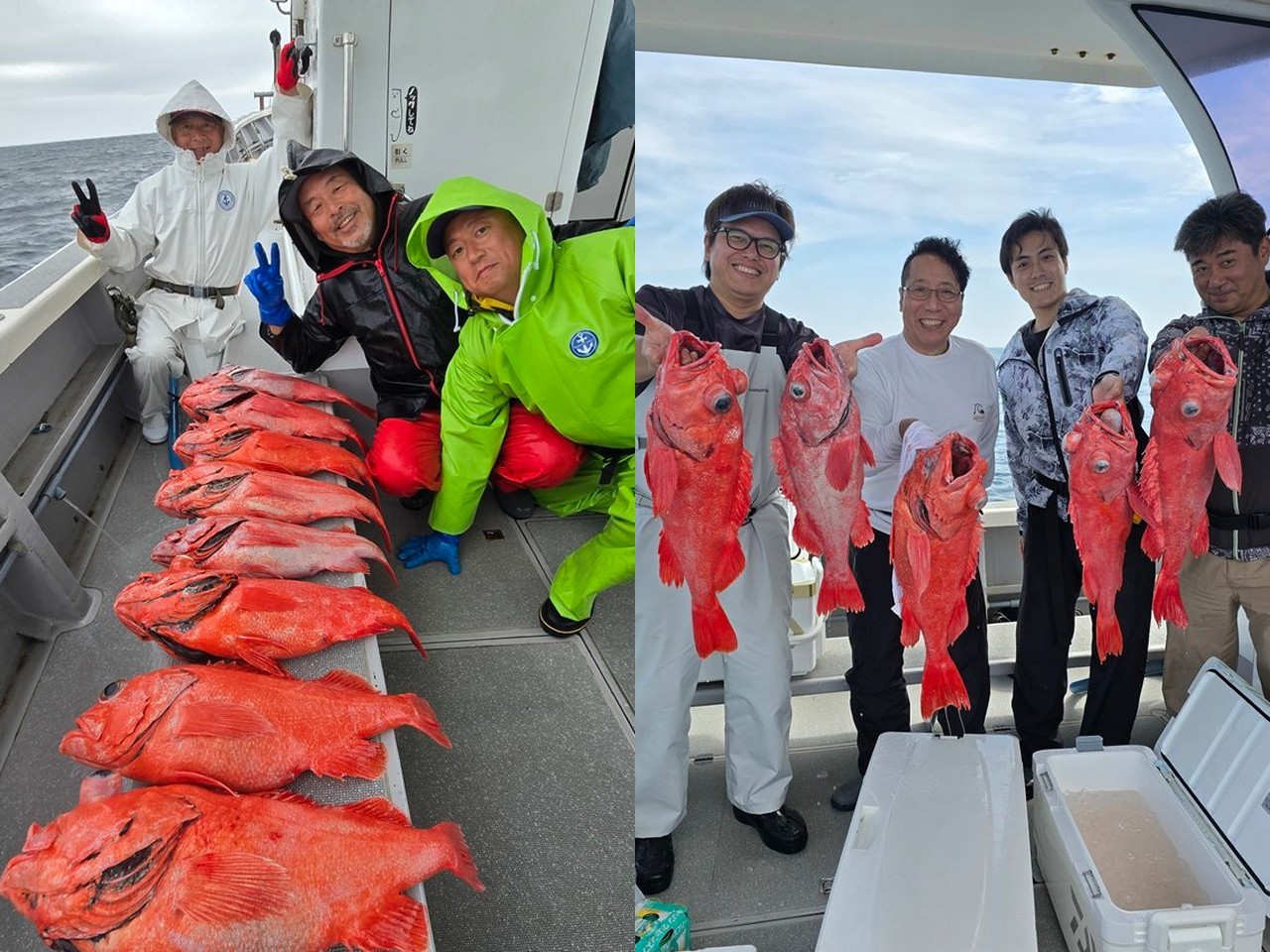 【釣果速報】立派すぎ！神奈川県一郎丸で8.00kgの巨大ベニアコウゲット！海に引きずり込まれそうな勢いの引きを体感せよ！