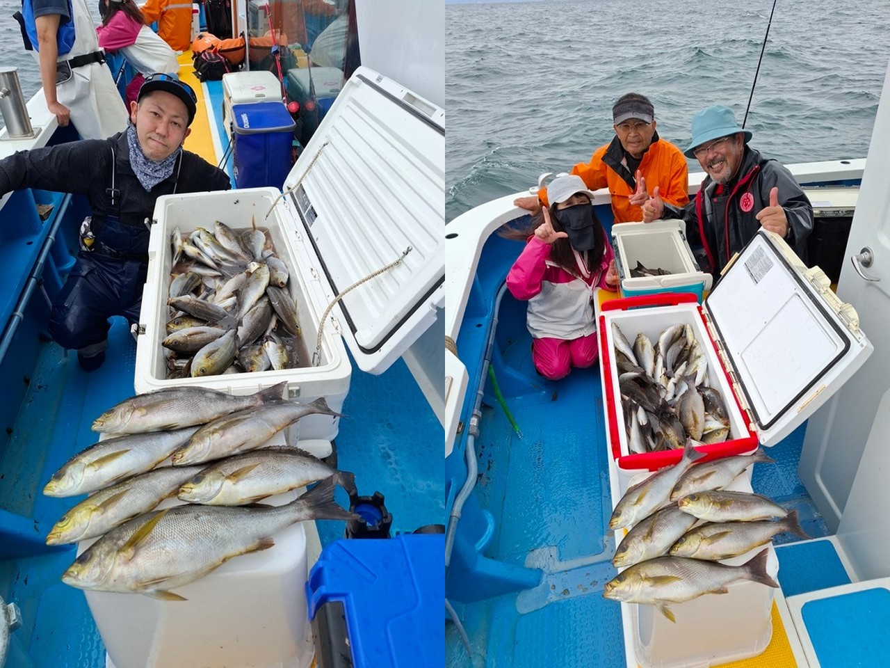 【釣果速報】イサキ続々ヒットでお土産いっぱい！あなたも神奈川県成銀丸で食べ頃サイズを狙おう！