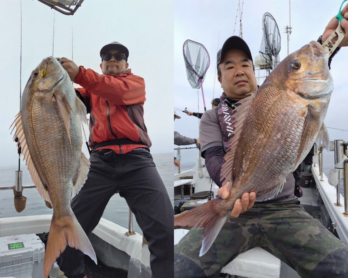【釣果速報】マダイにチャリコ！福島県ジガーズに乗るとクーラーボックスが高級魚の宝石箱になるぞ！