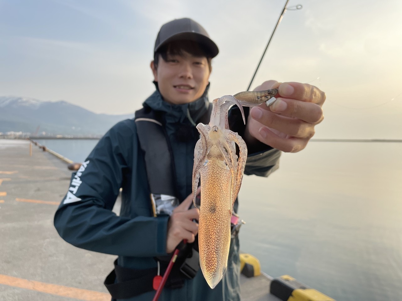 北海道マメイカ