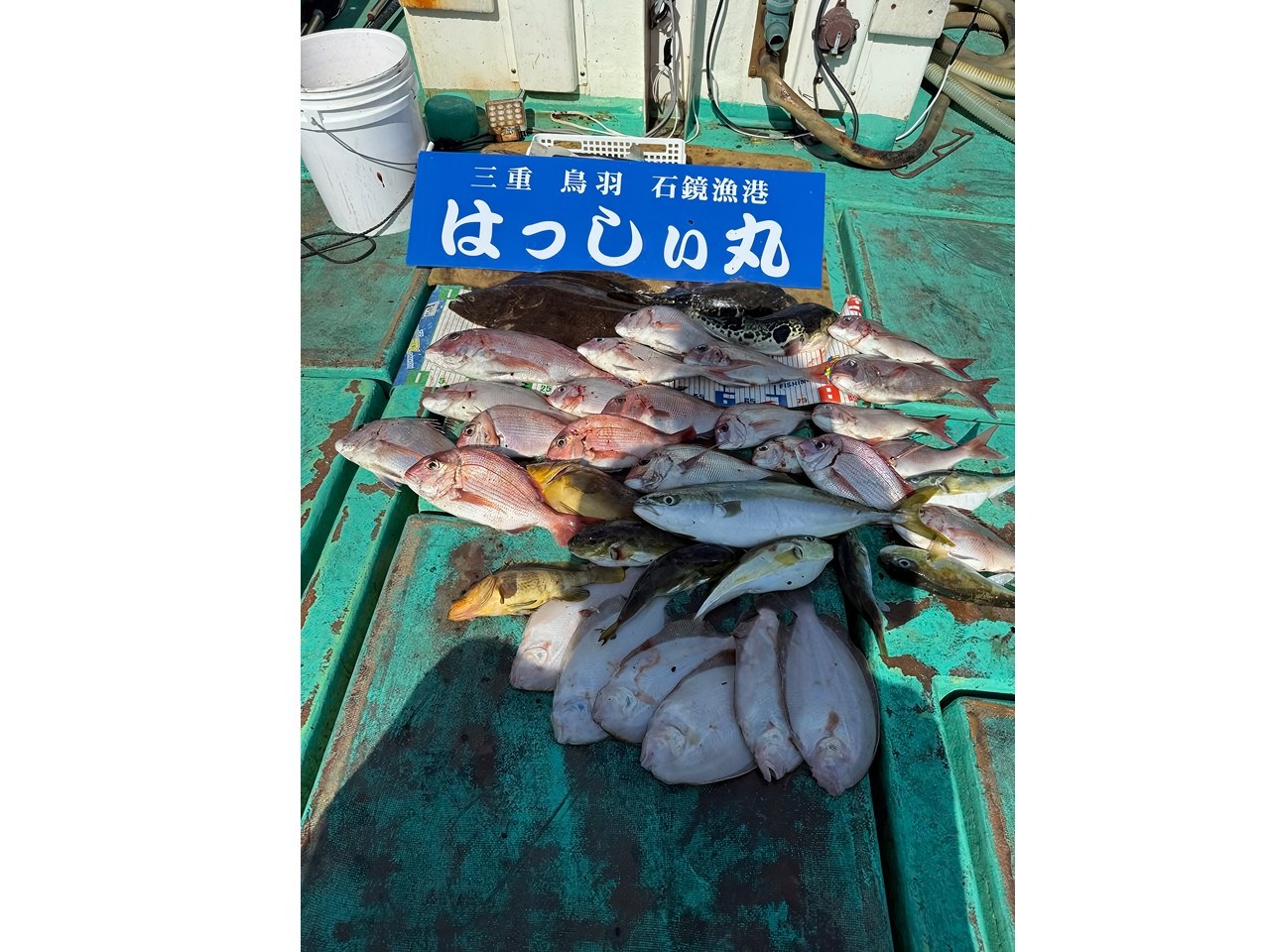 【釣果速報】三重県はっしぃ丸で65cmのヒラメを筆頭に人気魚種炸裂！今後も右肩上がりに釣果が上向く見込み！このビッグウェーブ、乗るっきゃない！