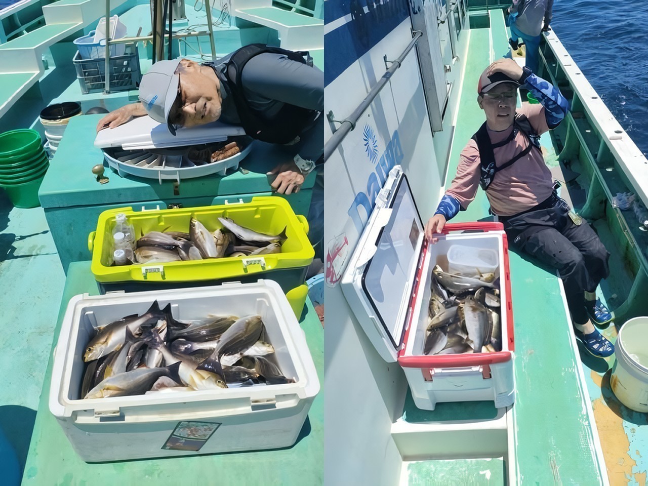 【釣果速報】神奈川県棒面丸のイサキ釣行で竿頭が驚愕の103匹キャッチ達成！自己記録更新を狙うなら今すぐ乗船だ！