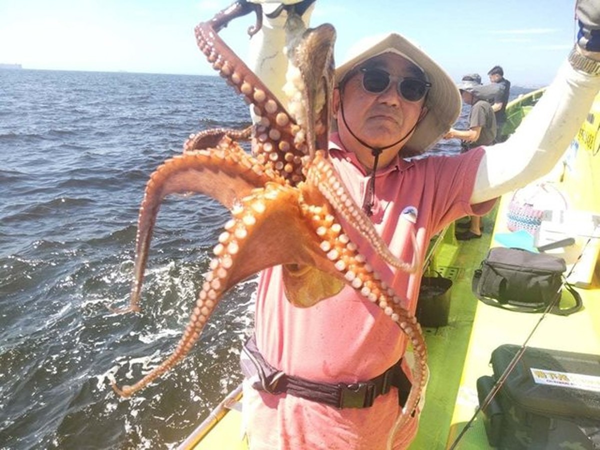 【釣果速報】神奈川県鴨下丸kawanaでダイナミックな1.5kgマダコをキャッチ！好調な今、良型を狙いに行こう！