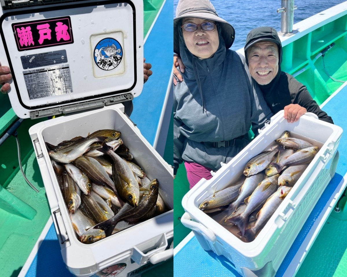 【釣果速報】神奈川県瀬戸丸で朝からイサキ好調！竿頭は81匹！今なら一日中数釣りが楽しめます！