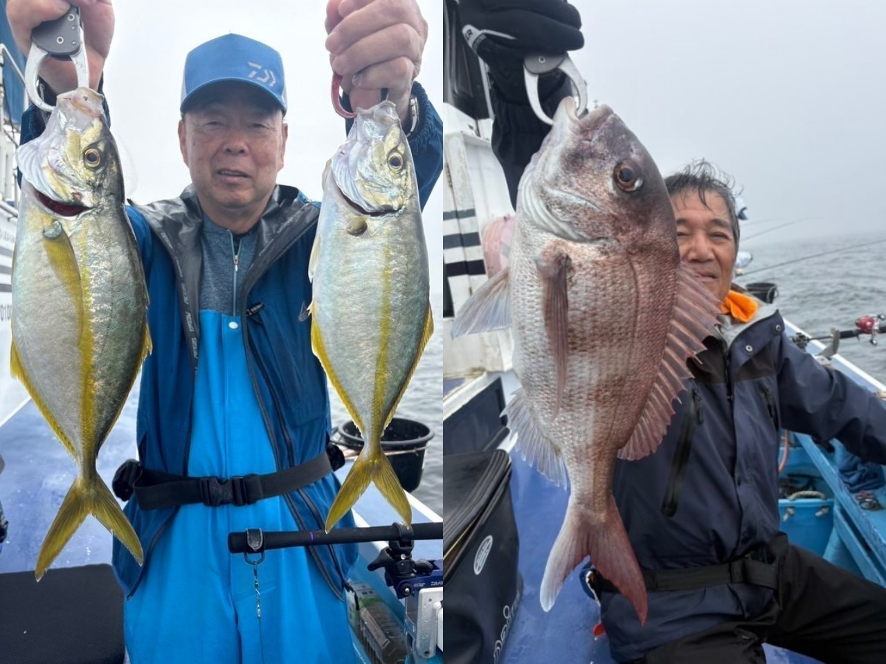 【釣果速報】霧雨の中でも絶好調！トリプルも出現でしっかりお土産確保！千葉県第三松栄丸でイサキ・シマアジを狙え！
