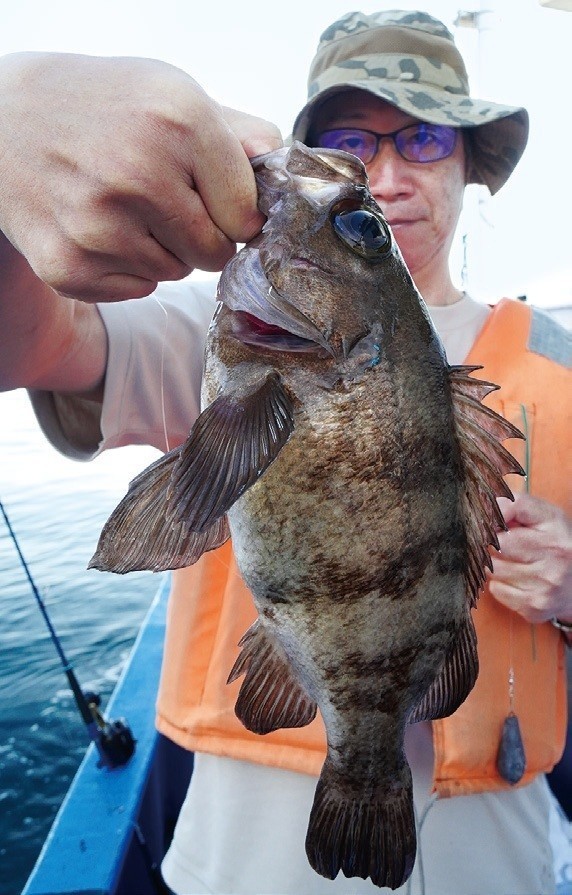 浅場のパワフル根魚ムラソイ 良型メバルでお土産も十分!!