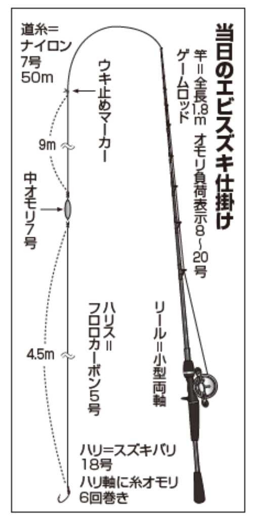 伝統釣法のエビスズキ 富津沖で良型連発！