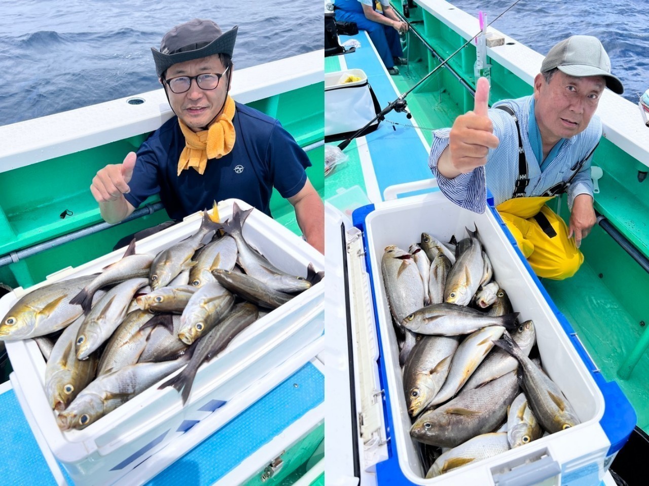 【釣果速報】神奈川県瀬戸丸がイサキ絶好調！トップ84匹・平均40～50匹！今すぐ乗船してこの波に乗ろう！        