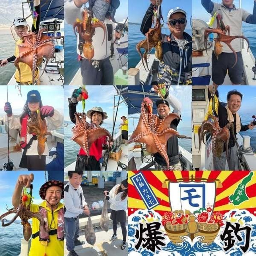 【釣果速報】兵庫県釣り船カネモで全員マダコGET達成！好調の今、ぜひ乗船予約を！