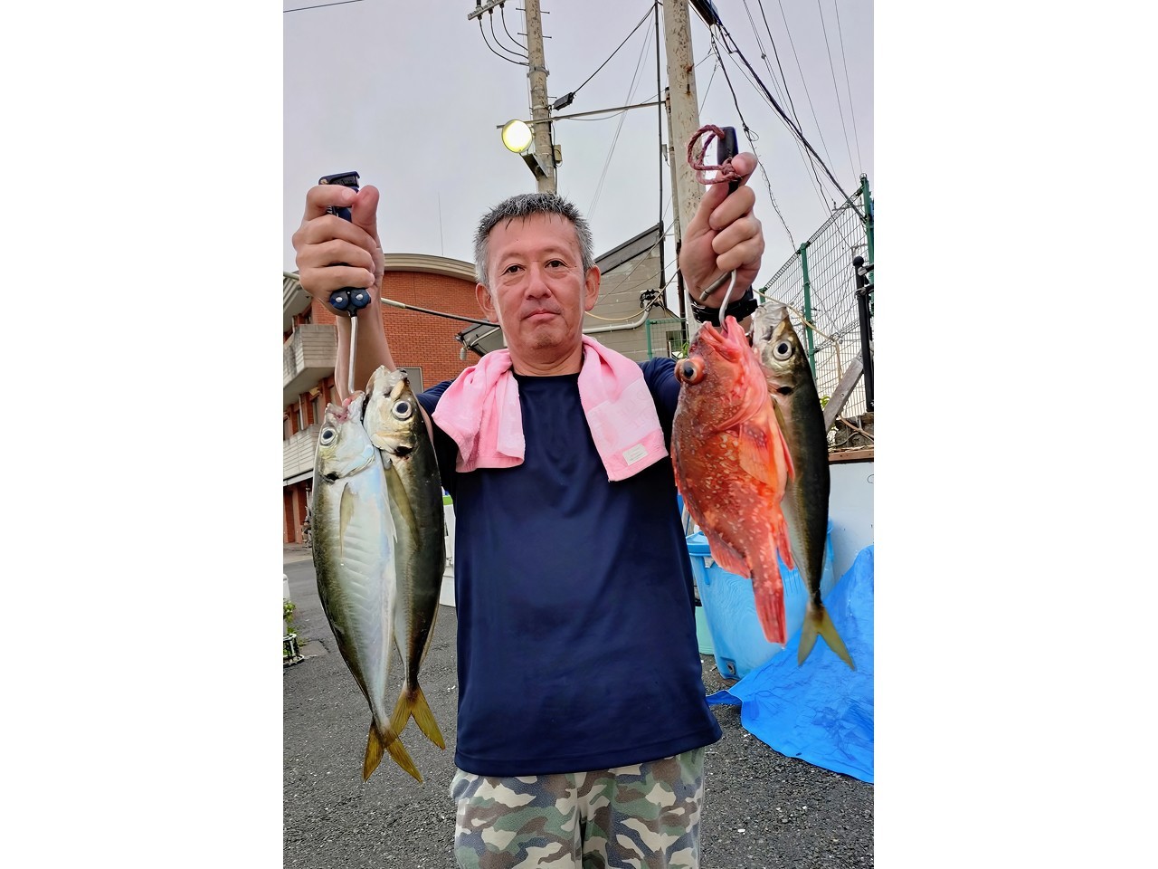 【釣果速報】神奈川県愛正丸で良型アジ絶好調！42cmのメガアジも！初心者アングラーもお土産どっさりの釣行になりますよ！