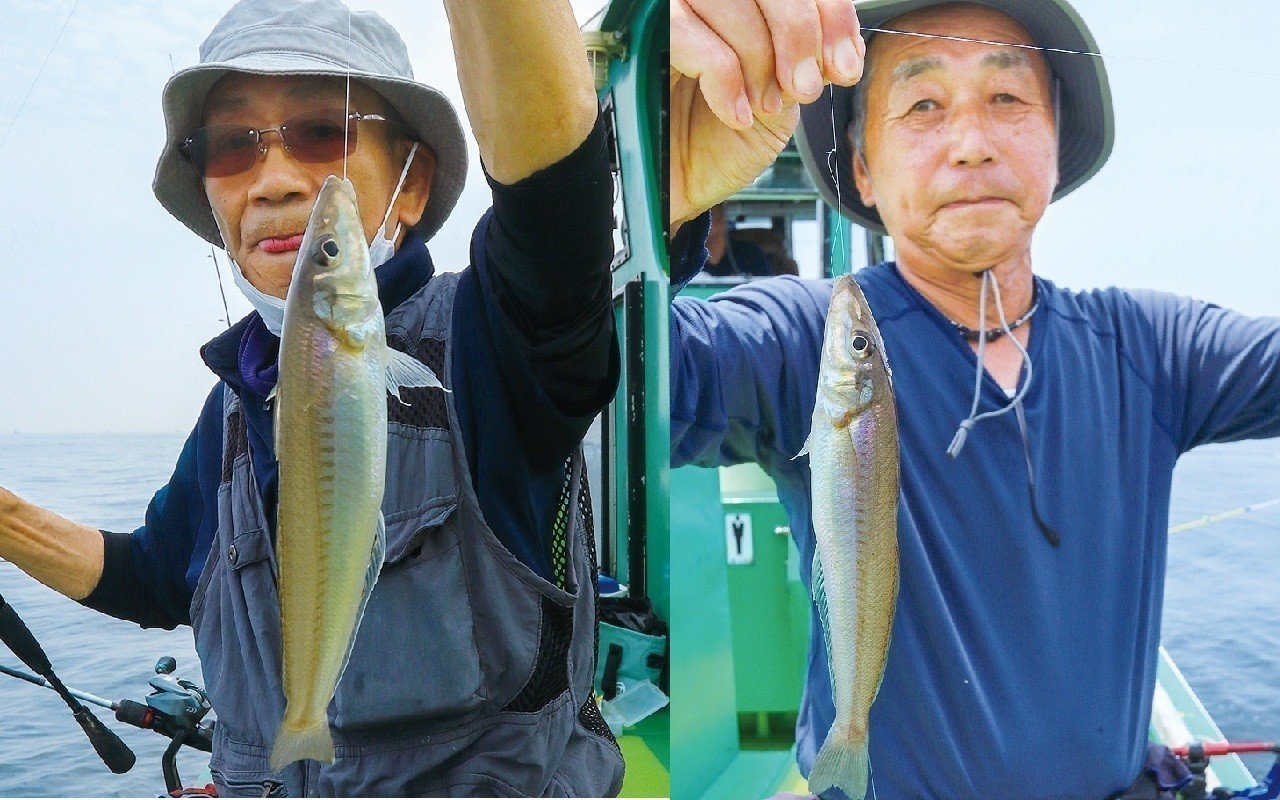 盤洲の浅場で食い活発！　東京湾で夏キスと遊ぼう