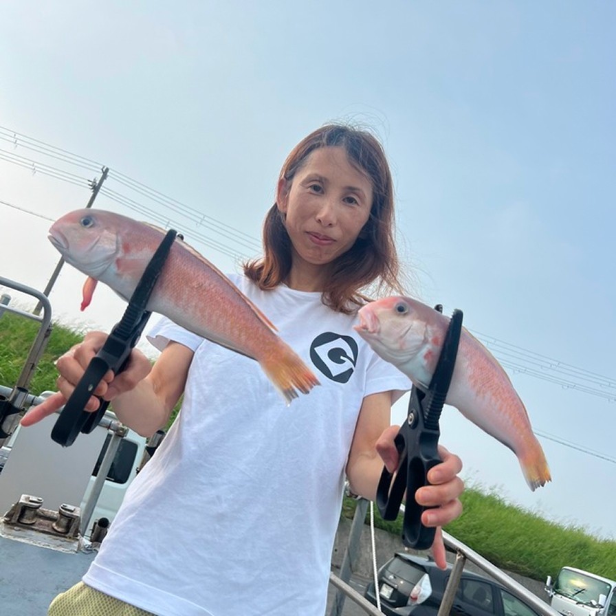 【釣果速報】“幻の甘鯛”ことシロアマダイが連発ヒット！合計15匹をキャッチ！和歌山県海虎で超高級魚に出会おう！