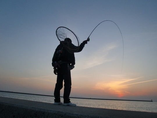 釣り　コスリ釣り　写真