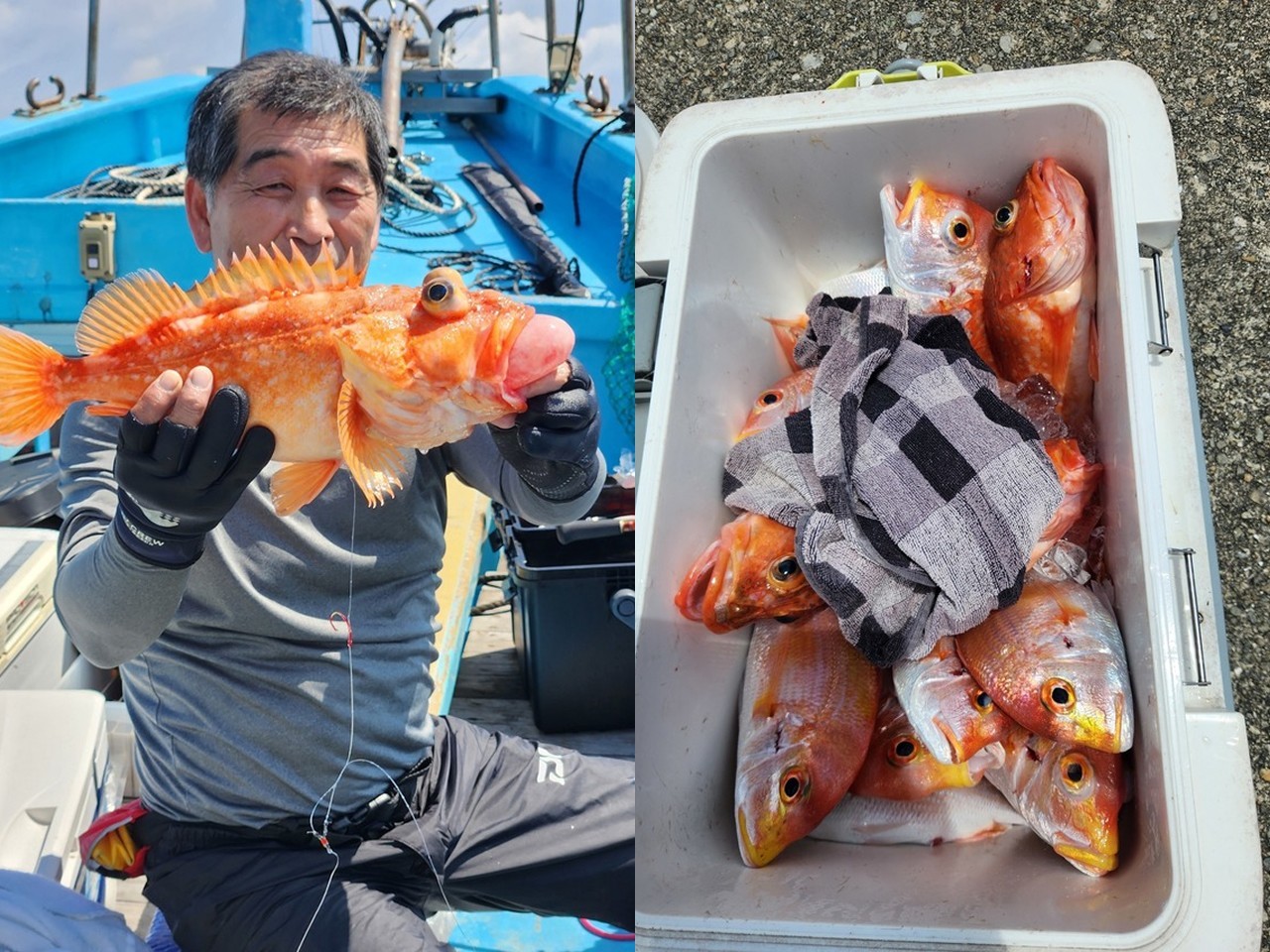 【釣果速報】三重県二十一さかぐち丸でウッカリカサゴ全員安打＆56cmの良型ゲット！レンコダイやアカイサギも交じり豪華なお土産に！夏の釣行ならこの船に決まり！