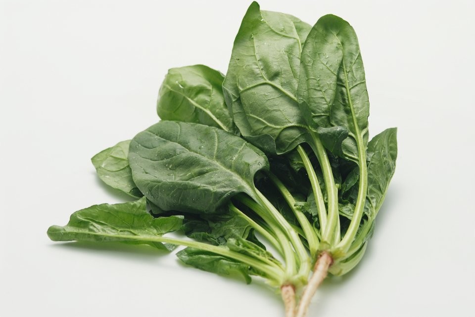 ホウレンソウ　写真