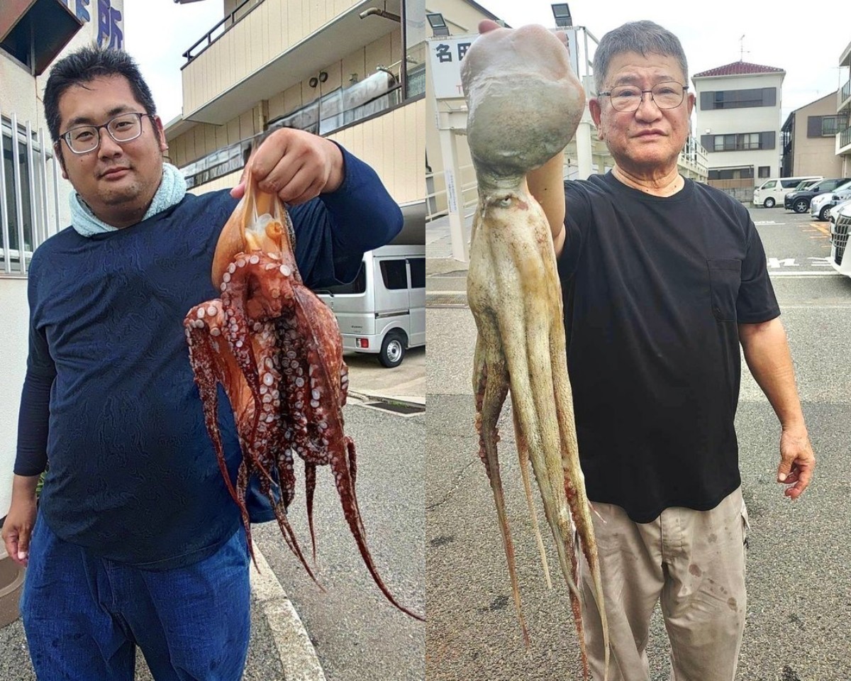 【釣果速報】兵庫県釣り船 名田屋でダイナミックな2.2kgマダコをキャッチ！好調な今、良型を狙いに行こう！