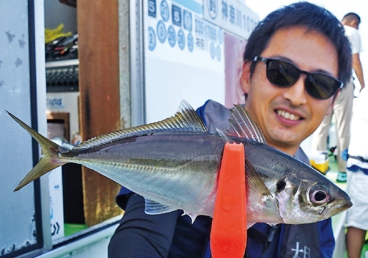 食べておいしい中型ぞろい　東京湾のライトアジ夏モードへ