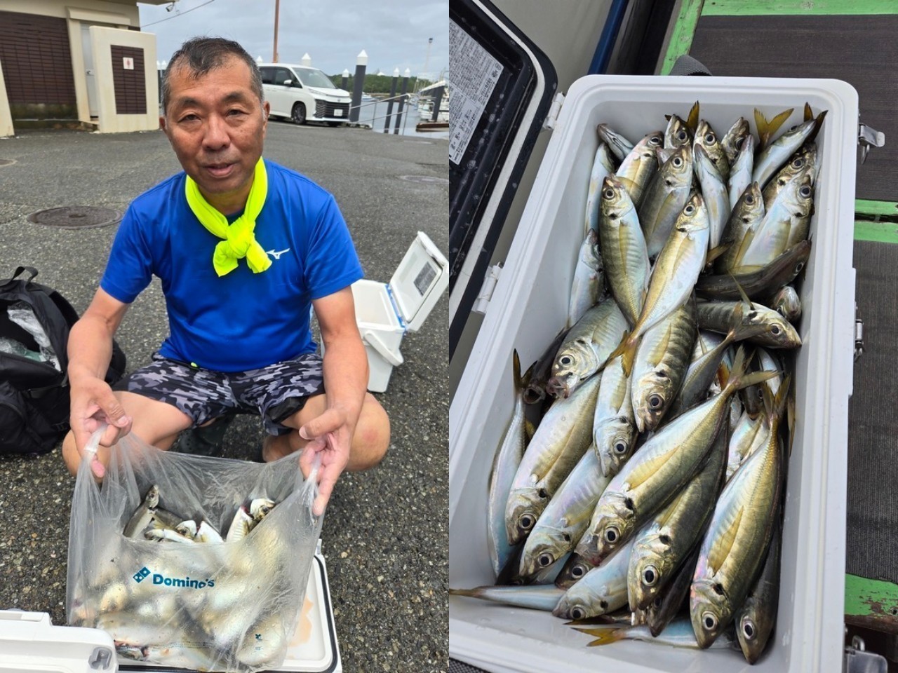 【釣果速報】神奈川県仁丸でアジ大漁確保！竿頭は118匹と3ケタ！クロダイ・サバ・カサゴ混じりでクーラー満タン！あなたもどんどん狙おう！