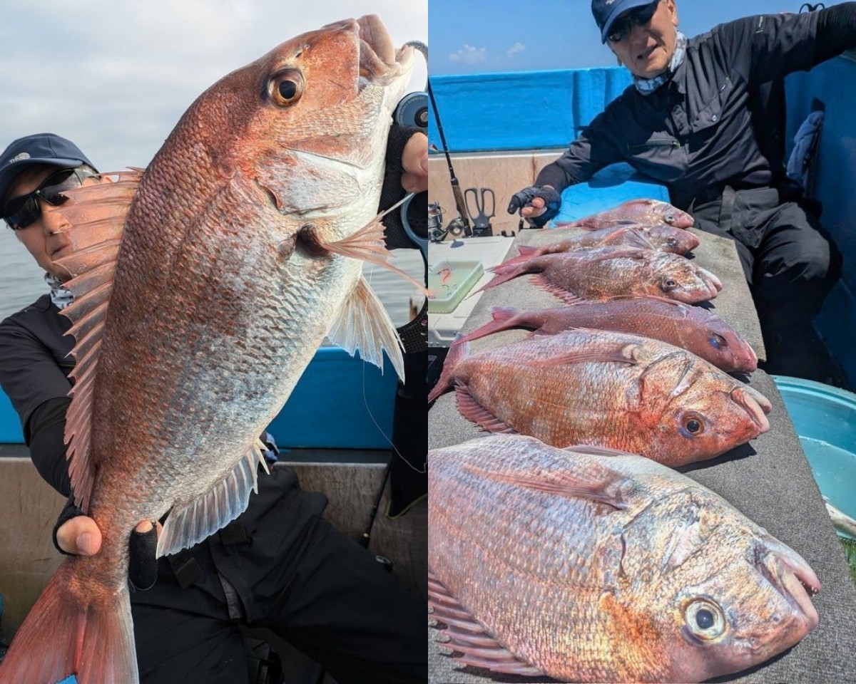 【釣果速報】茨城県大春丸で驚異の3kgマダイゲット！大型マダイを狙いたいなら今がチャンス！