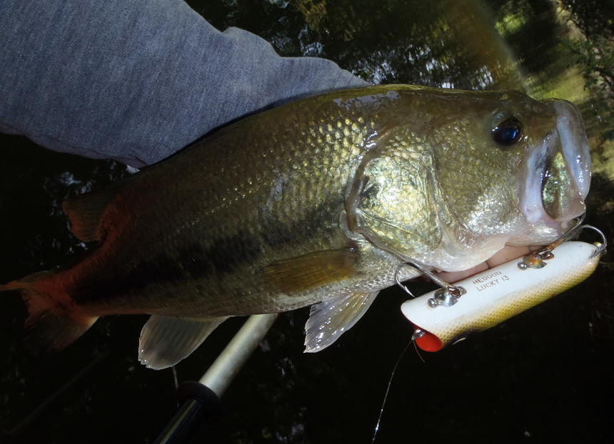 バス　ルアー　写真