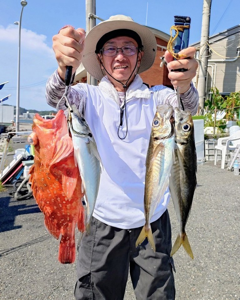 【釣果速報】良型アジがクーラーにぎっしり！神奈川県愛正丸で質も量も大満足の釣行を楽しもう！
