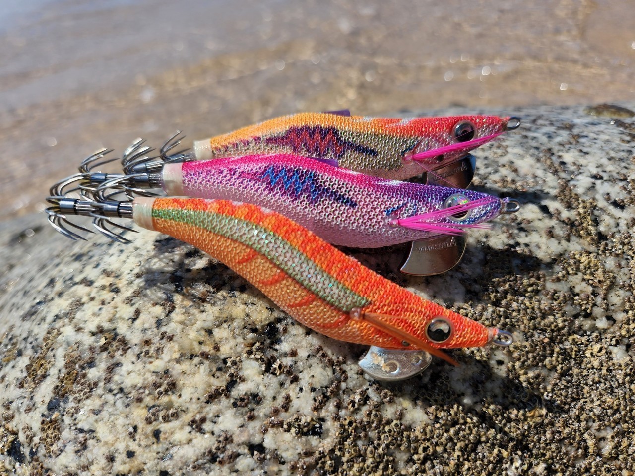 秋イカにおすすめのエギ王SEARCH・LIVE2.5号