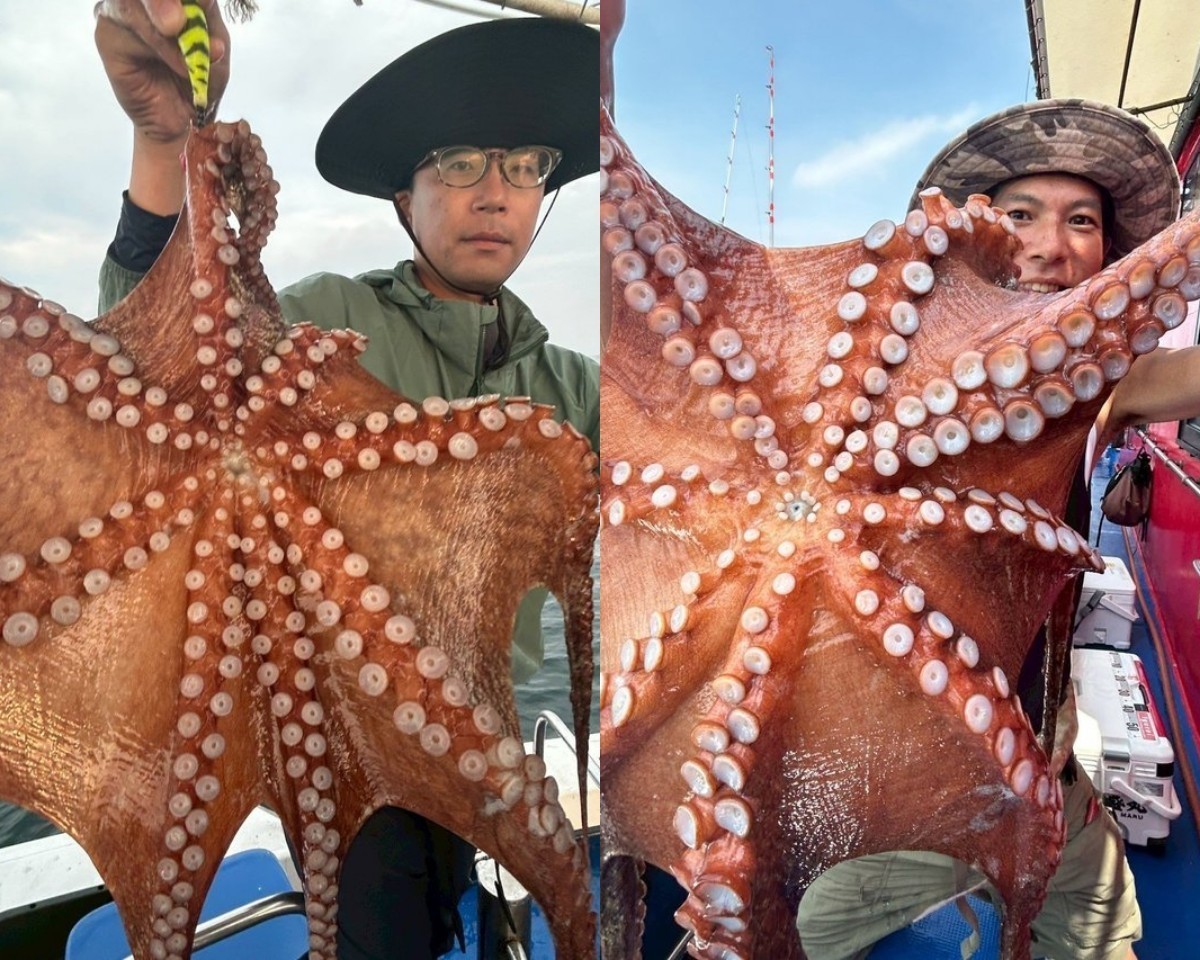 【釣果速報】兵庫県海蓮丸で全員マダコGET達成！80cmの巨大タコも！好調の今、ぜひ乗船予約を！
