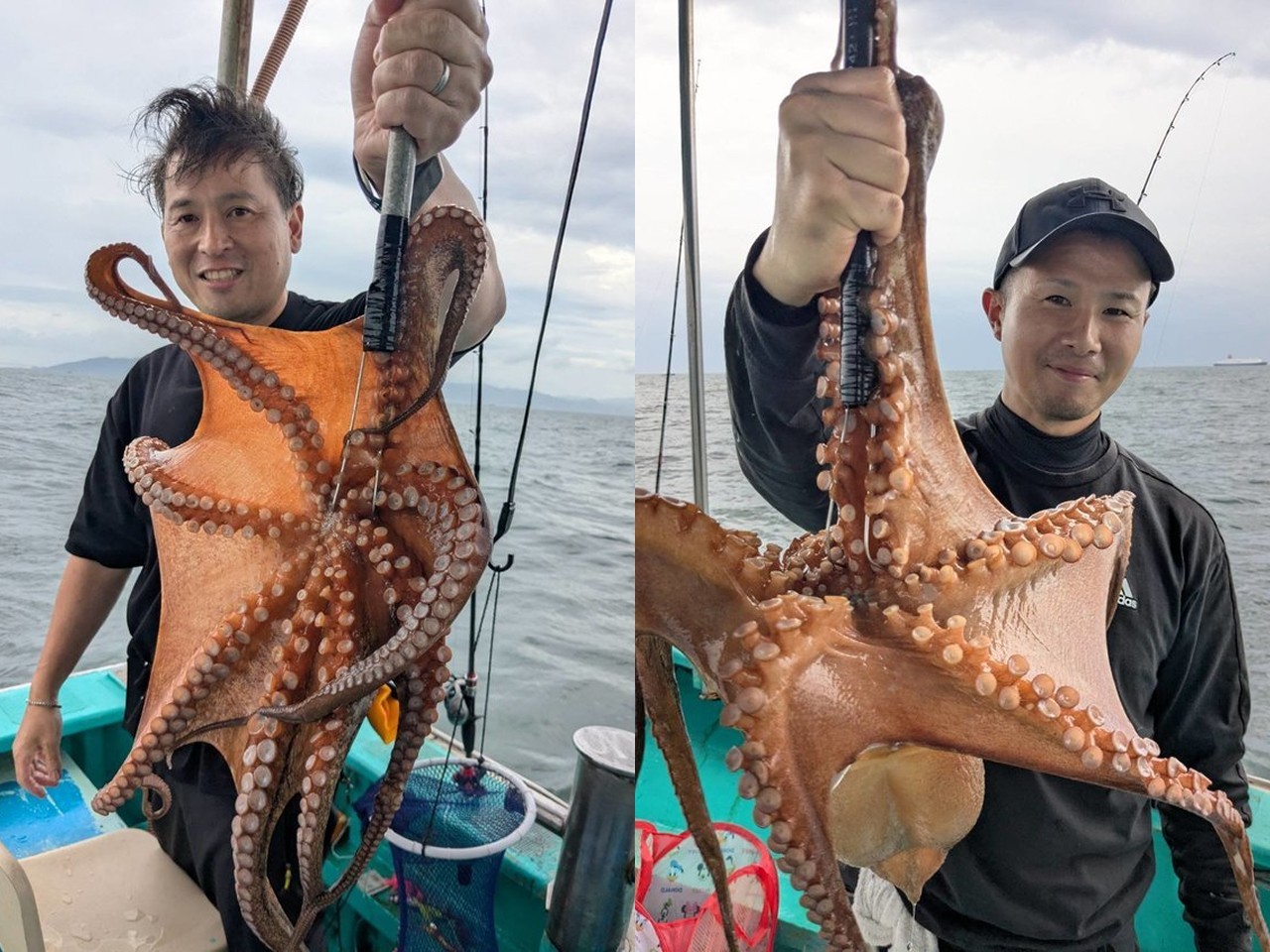 【釣果速報】兵庫県釣り船 名田屋でマダコ釣り好調！連発で大興奮！お盆休みはモンスタータコを狙いに行きませんか？