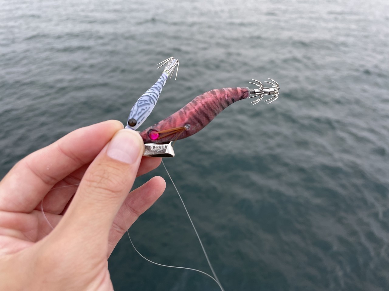 アシストリグに使用するエギとスッテ