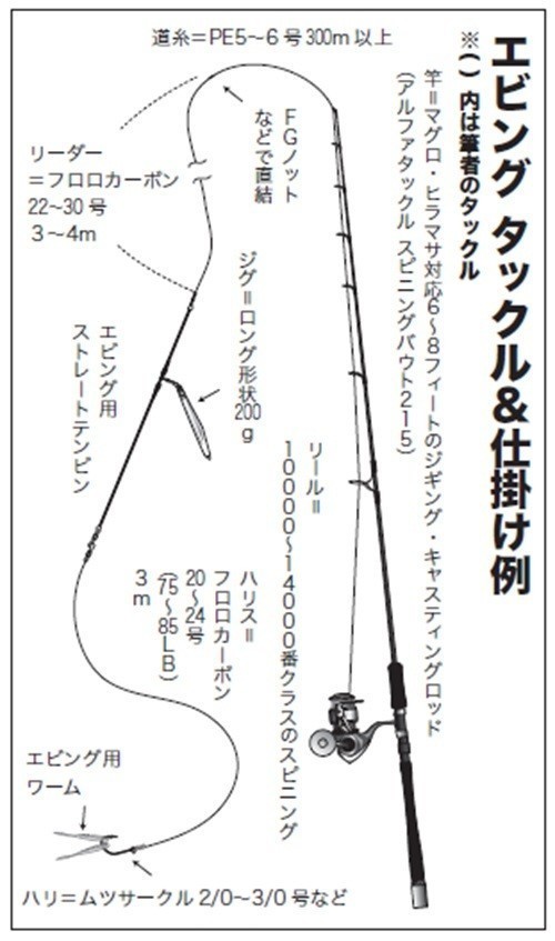 シーズン初期はエビング優勢 キハダ・カツオ
