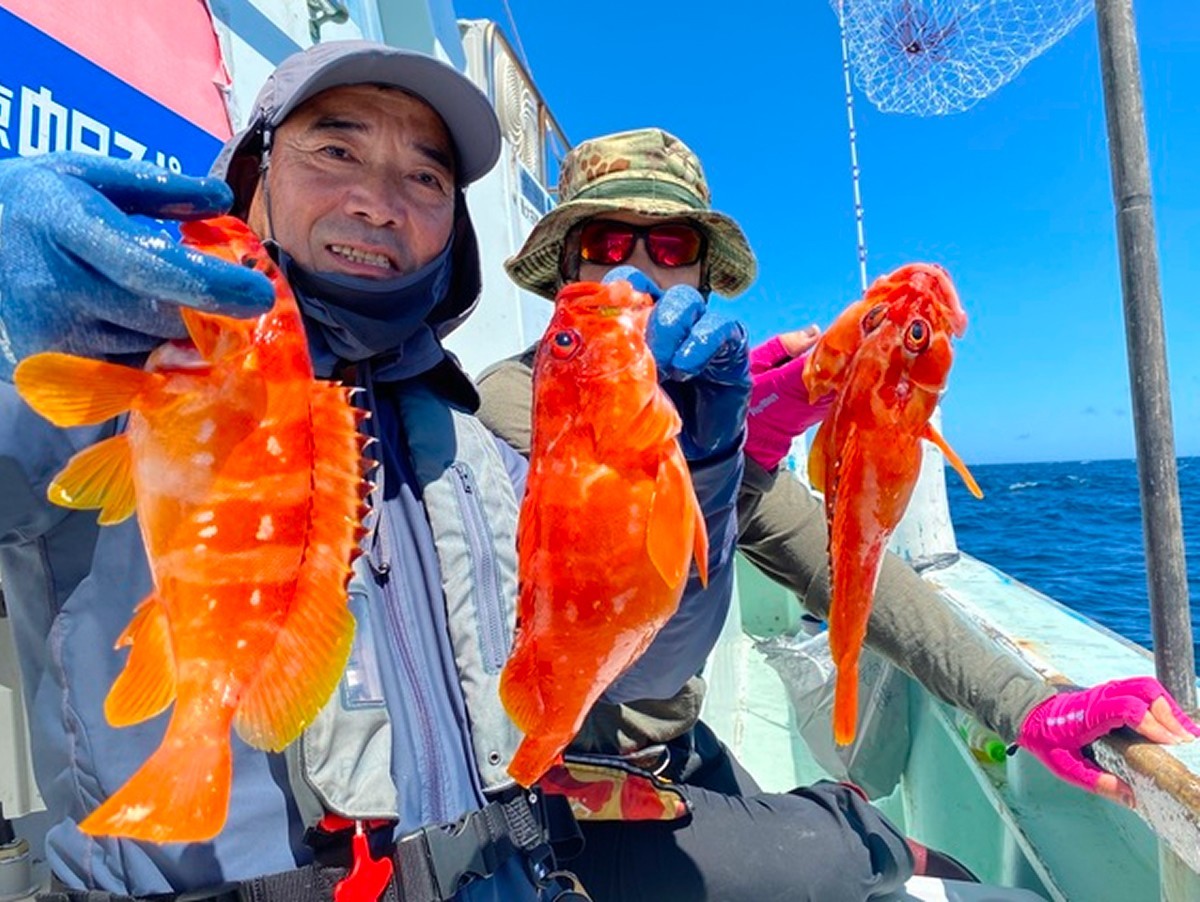 【釣果速報】良型アカハタ連続確保！短時間の出船でもお土産バッチリ！充実の釣行は静岡県久寿丸で！