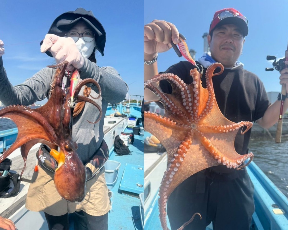 【釣果速報】千葉県林遊船でダイナミックな1.2kgマダコをキャッチ！好調な今、良型を狙いに行こう！