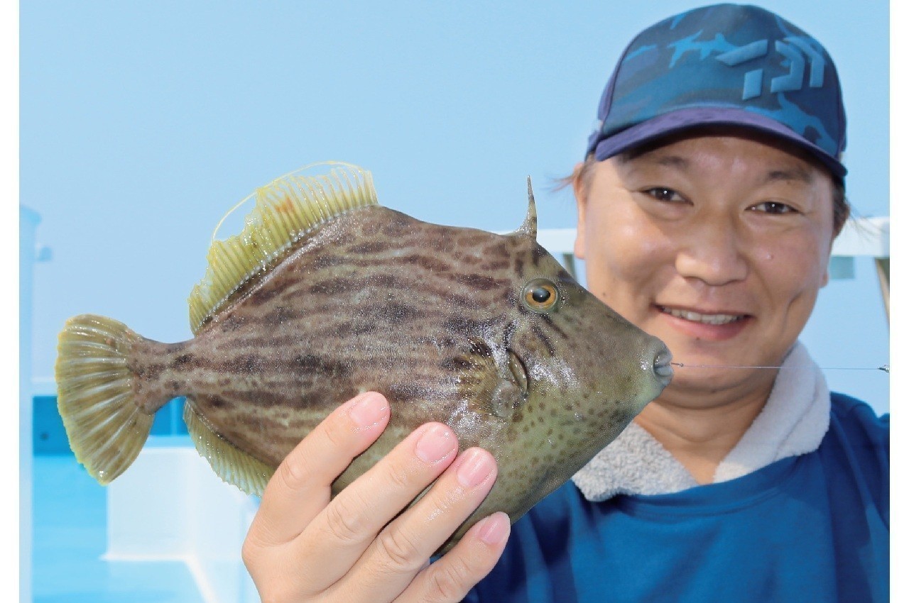 内房勝山のカワハギ　ファン待望のシーズン到来