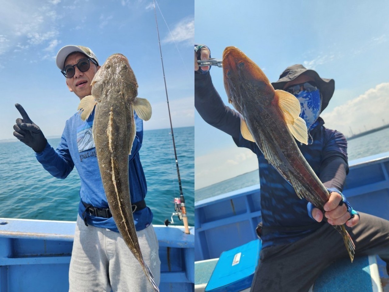 【釣果速報】茨城県宗和丸で48cmのマゴチ上がる！ジャンボクラスの気配ムンムン！次はデカマゴチを狙え！