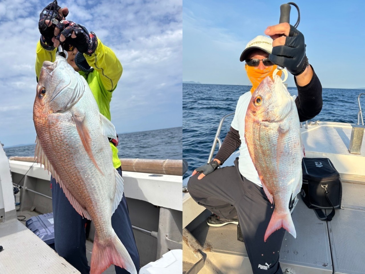 【釣果速報】福岡県木鶏丸でマダイGET！最大80cm！脂ノリノリ真夏の真鯛、今しかない大チャンス！