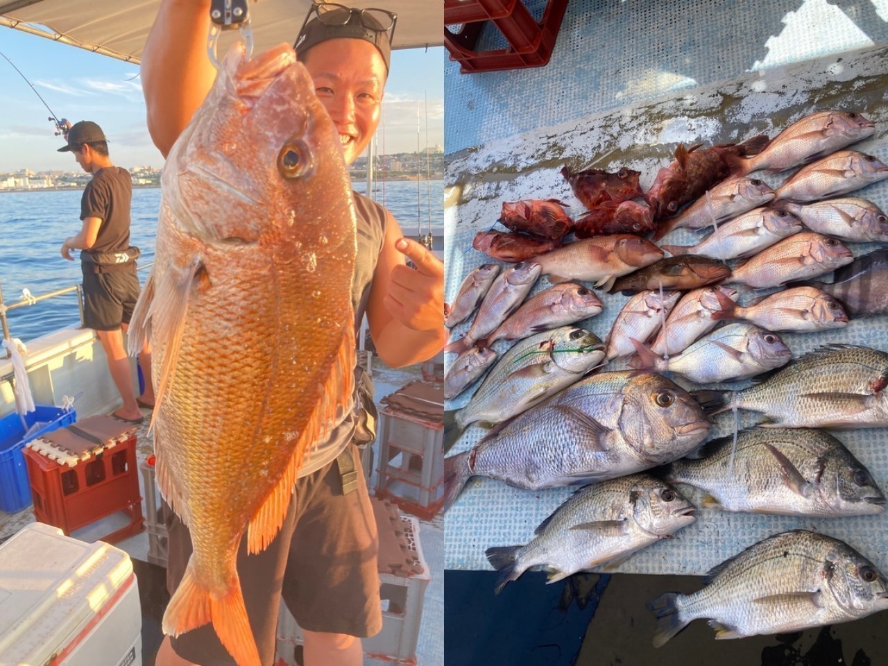 【釣果速報】兵庫県こうじん丸でマダイゲット！最大65cm！憧れの大鯛をこの手で捕まえよう！        