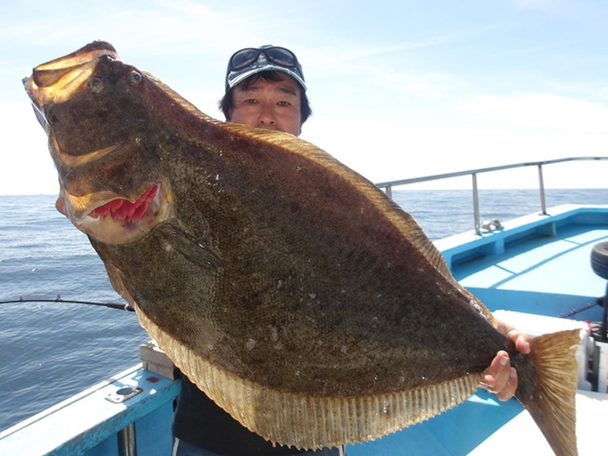 【釣果速報】87cmの座布団出る！大型交じり食い順調のヒラメは福島県つりエサ豊漁で狙いに行こう！
