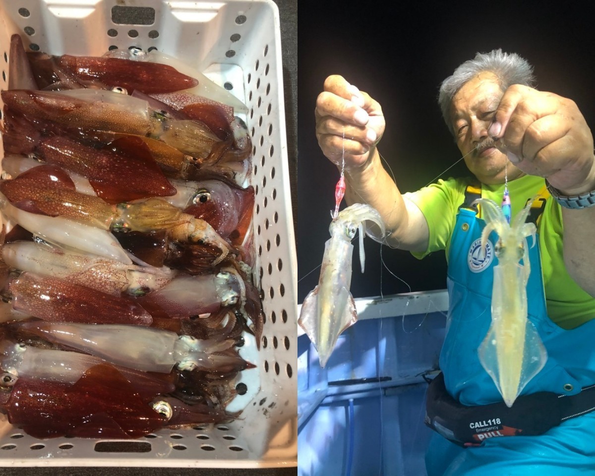 【釣果速報】茨城県幸栄丸で海況のハンデを乗り越えケンサキイカの20杯超え！良型の高級イカは今が狙いどき！！
