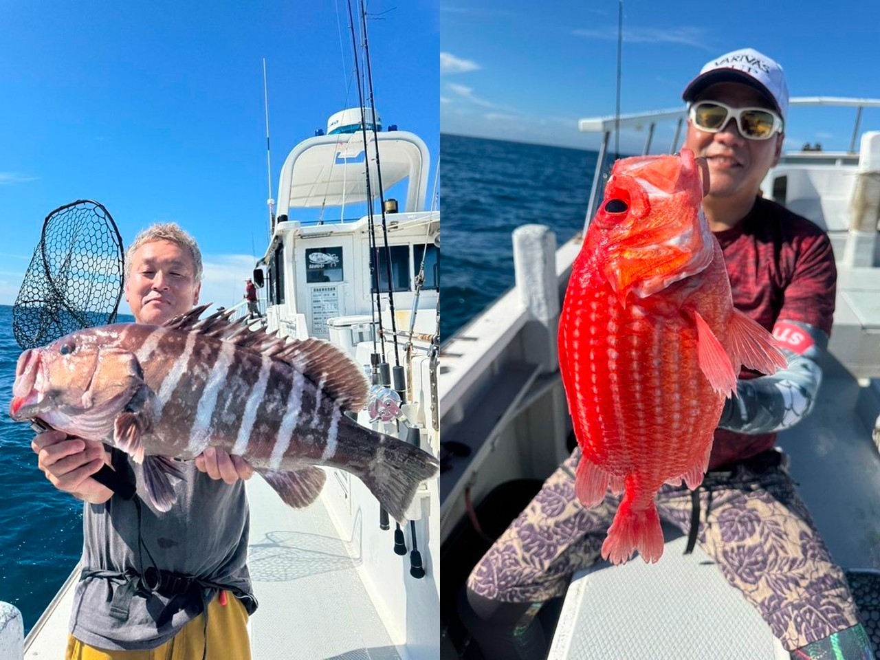 【釣果速報】千葉県赤沼丸で巨大マハタ釣れる！まるまる太ったエビスダイもキャッチ！順調にサイズアップしている人気魚たちをキャッチしに行こう！