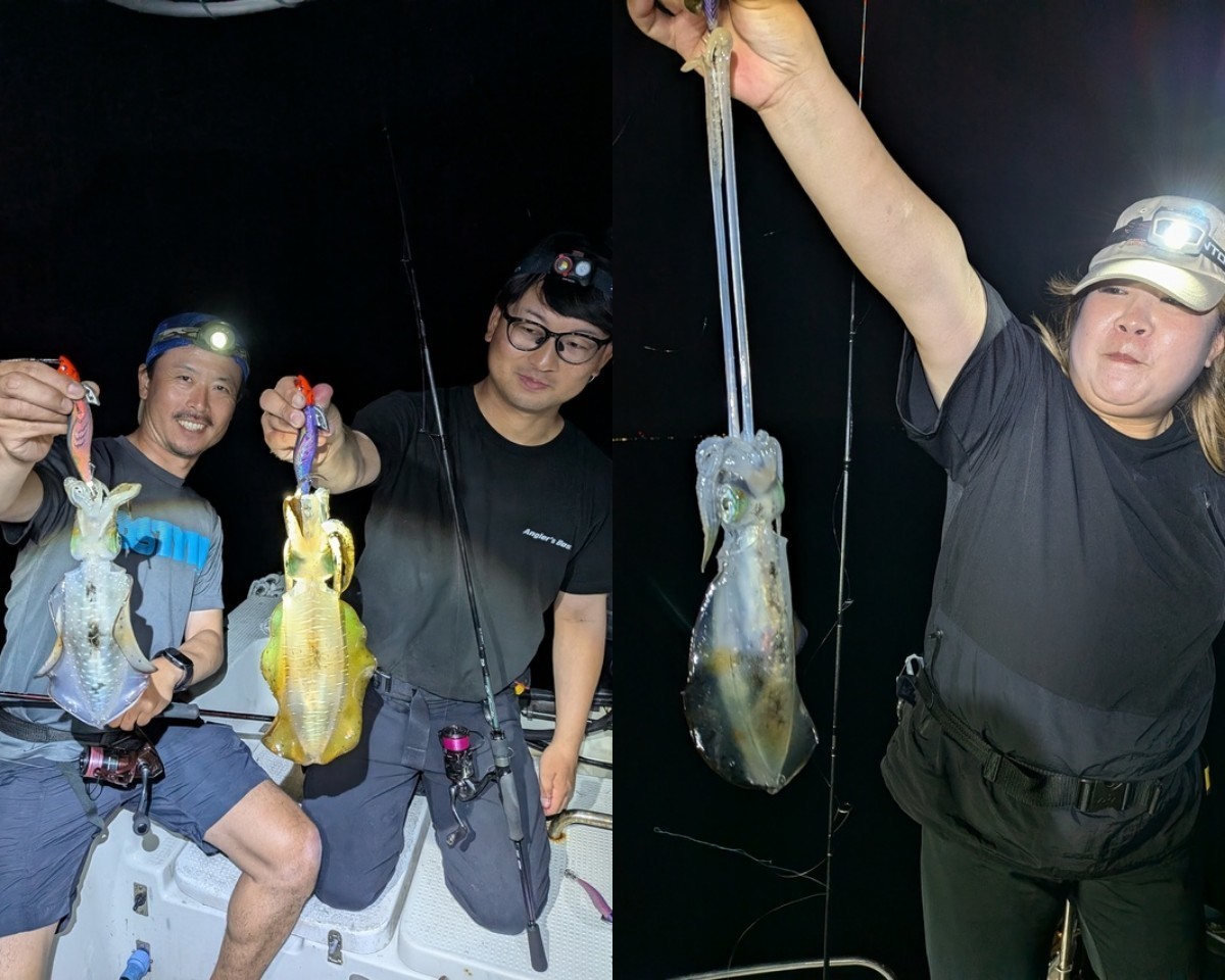 【釣果速報】和歌山県SevenSWellでアオリイカ釣行が好調！アオリイカの機嫌が良い今が大漁のチャンス！