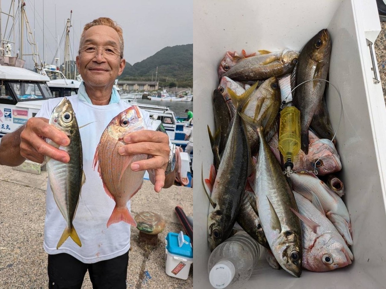 【釣果速報】千葉県隆正丸で食べ頃サイズの良型35cmハナダイ上がる！三連休は大物ハナダイを捕まえに行きませんか？