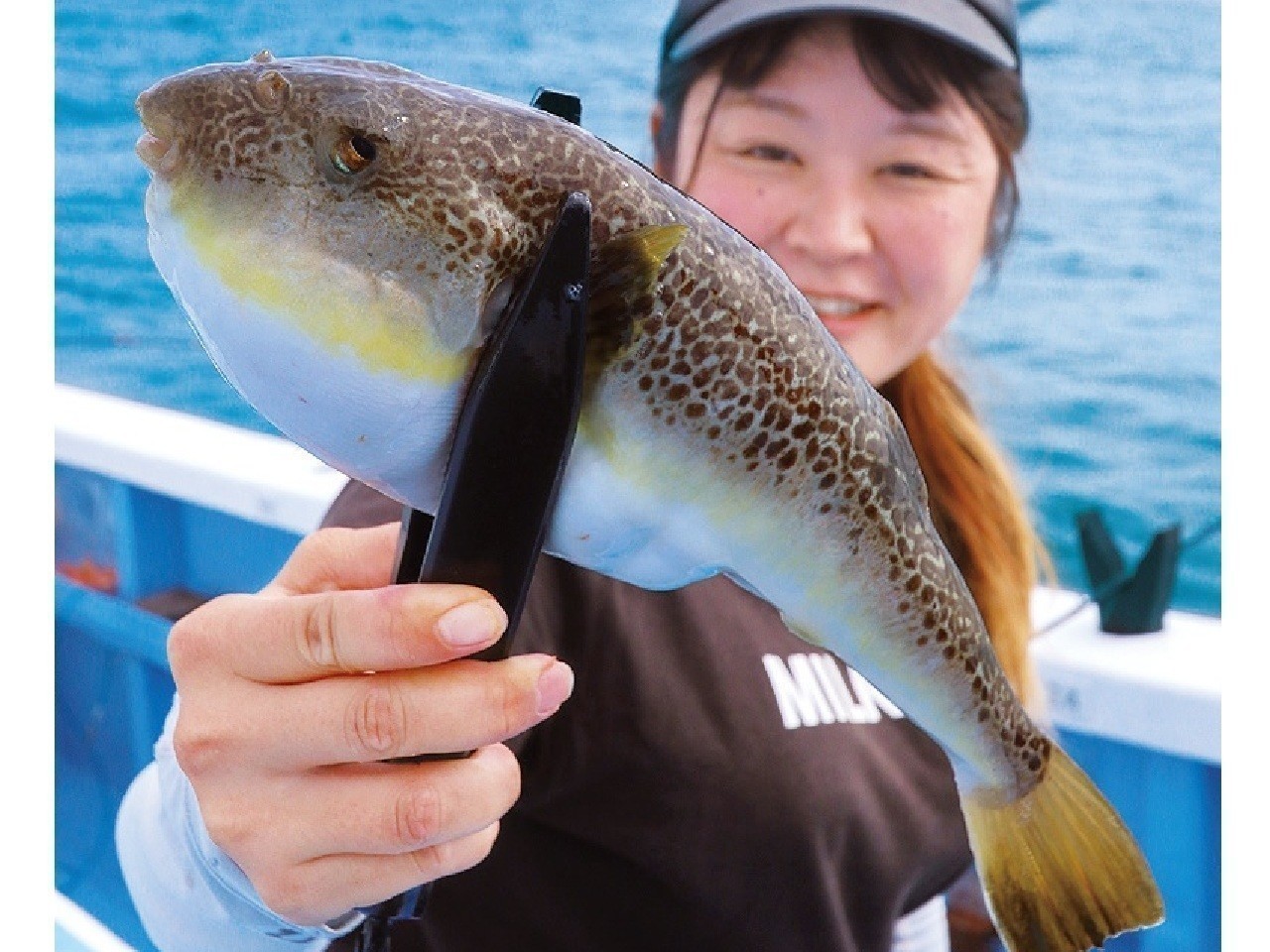 初日から釣れてます！　外房大原のフグ好発進