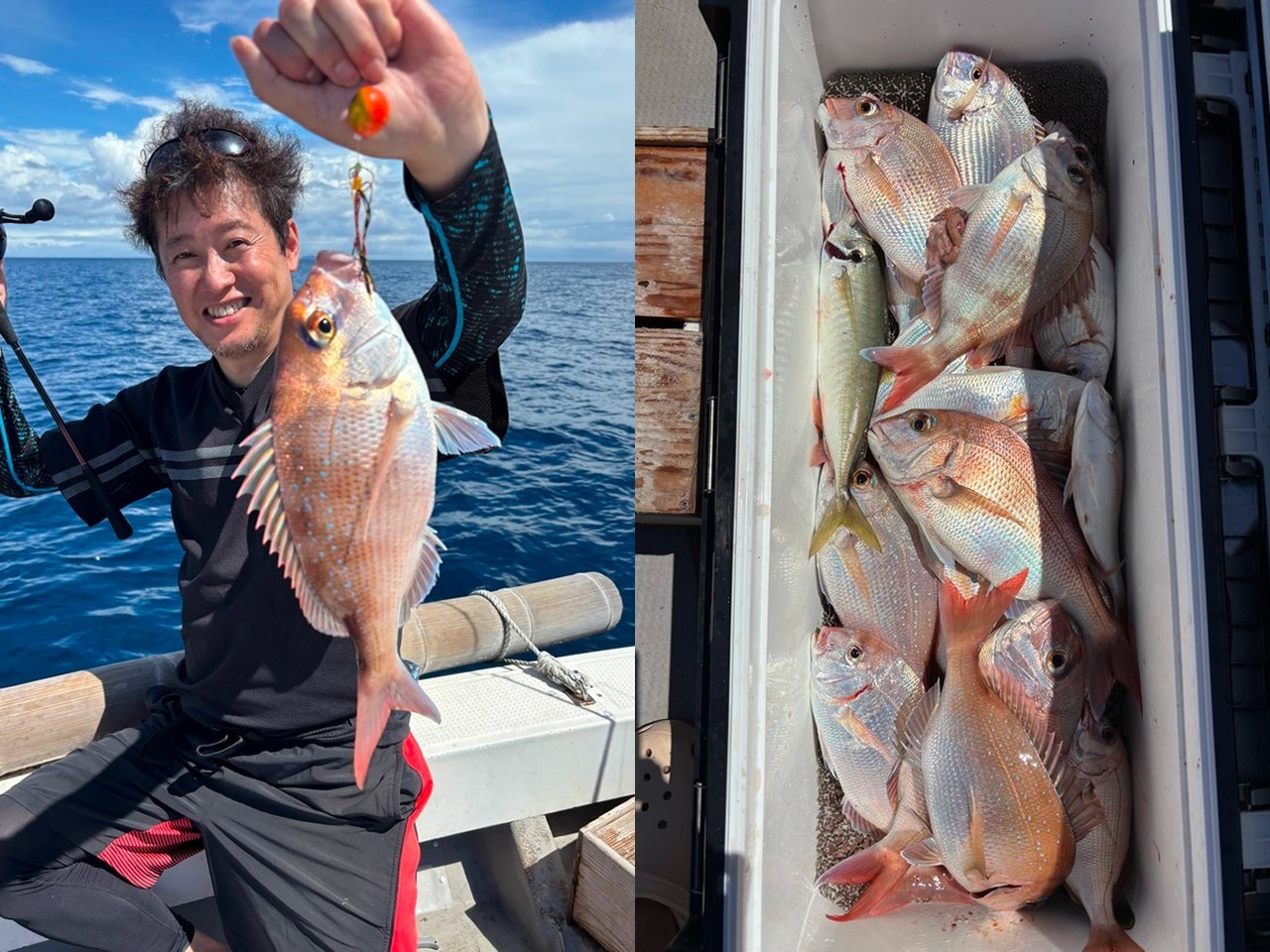 【釣果速報】福岡県木鶏丸でマダイ絶好調！トップ20匹！三連休は大物マダイを捕まえに行きませんか？
