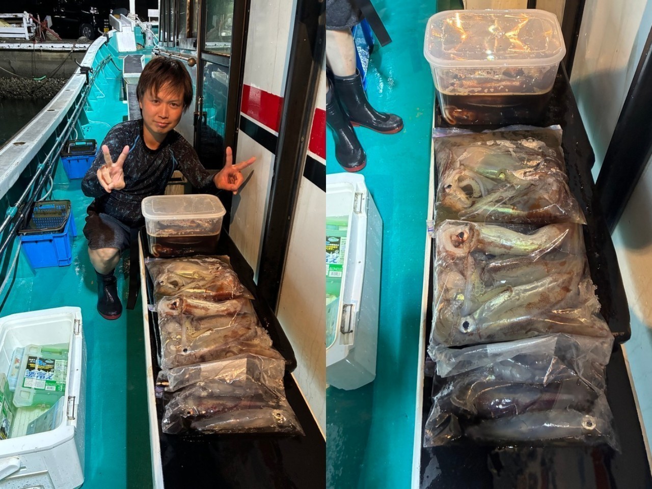 【釣果速報】和歌山県良栄丸でアカイカ・スルメイカGET！イカの機嫌が良い今が大漁のチャンス！