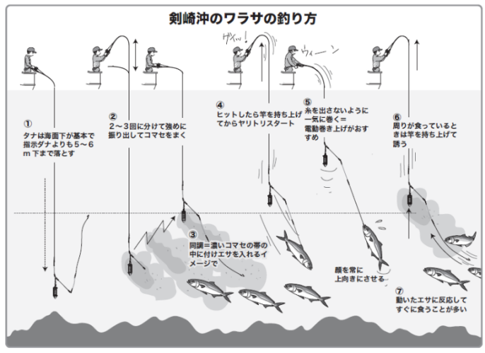 剣崎沖のワラサの釣り方