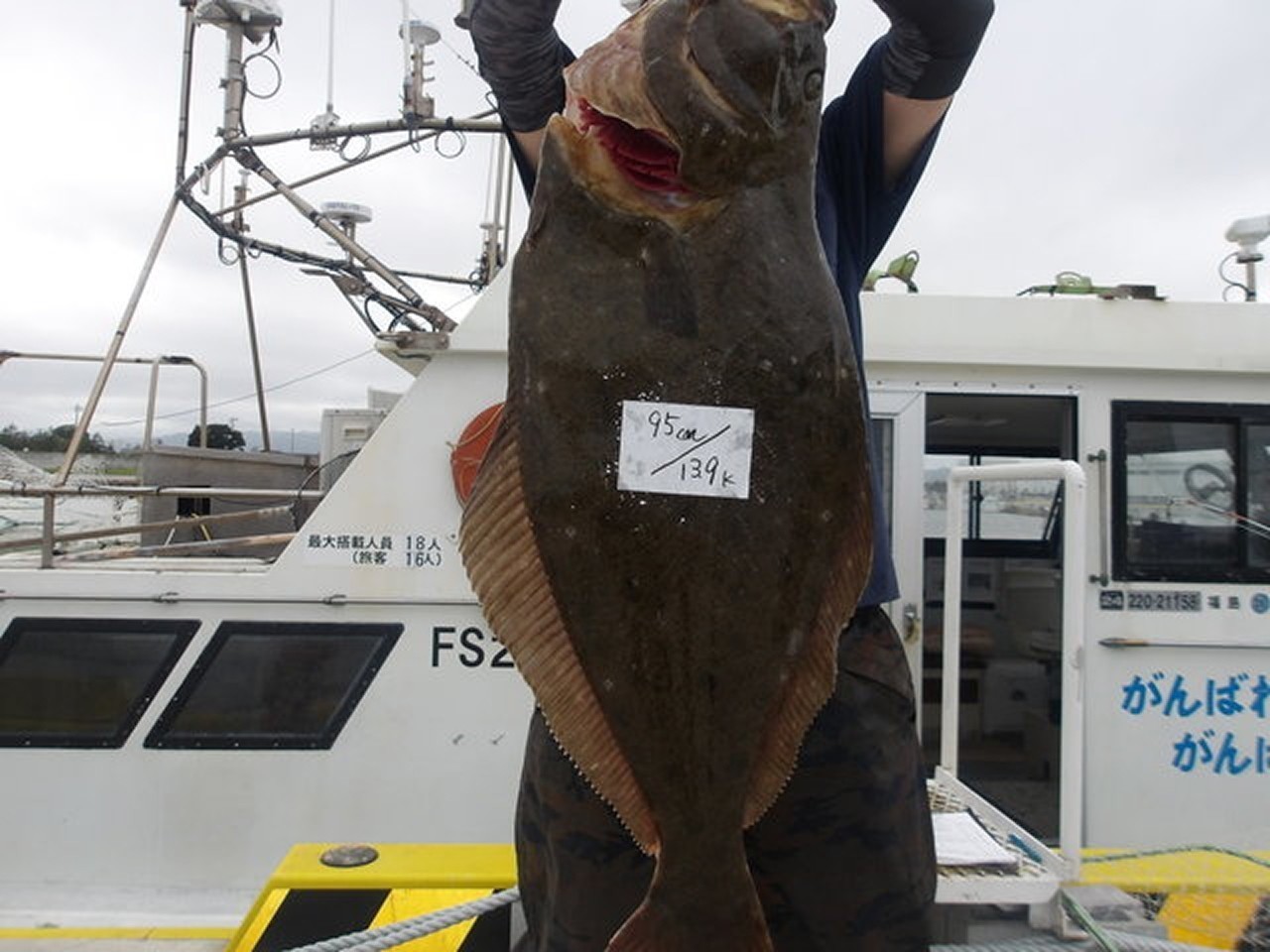 【釣果速報】福島県つりエサ豊漁でヒラメ・マゾイ・クロソイなど超豪華根魚を一挙にGET！海深く潜む人気者を捕まえに行こう！        