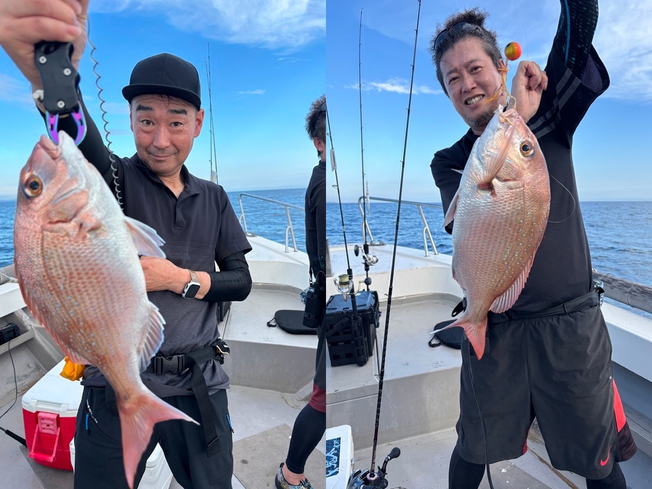 【釣果速報】福岡県木鶏丸でマダイ好釣！アタリ爆発でトップは50cm！今すぐマダイ天国に直行だ！