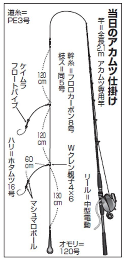 tpc27362-5.jpg