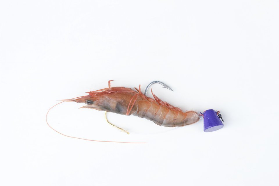 テンヤ釣り　マダイ　写真