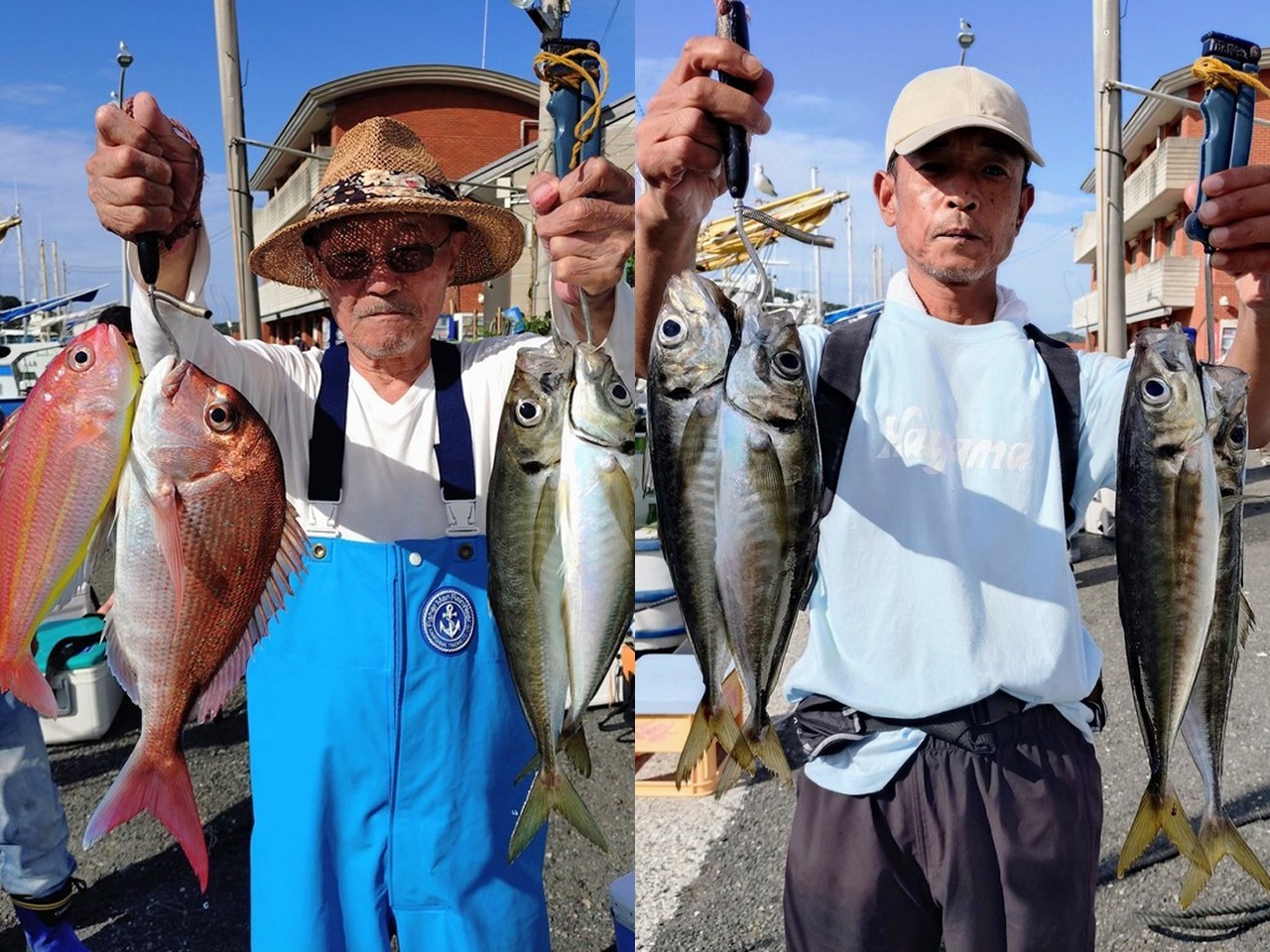 【釣果速報】アジ＆マダイでクーラーボックスがパンパン！神奈川県愛正丸で量・型ともに大満足の釣行に出かけよう！